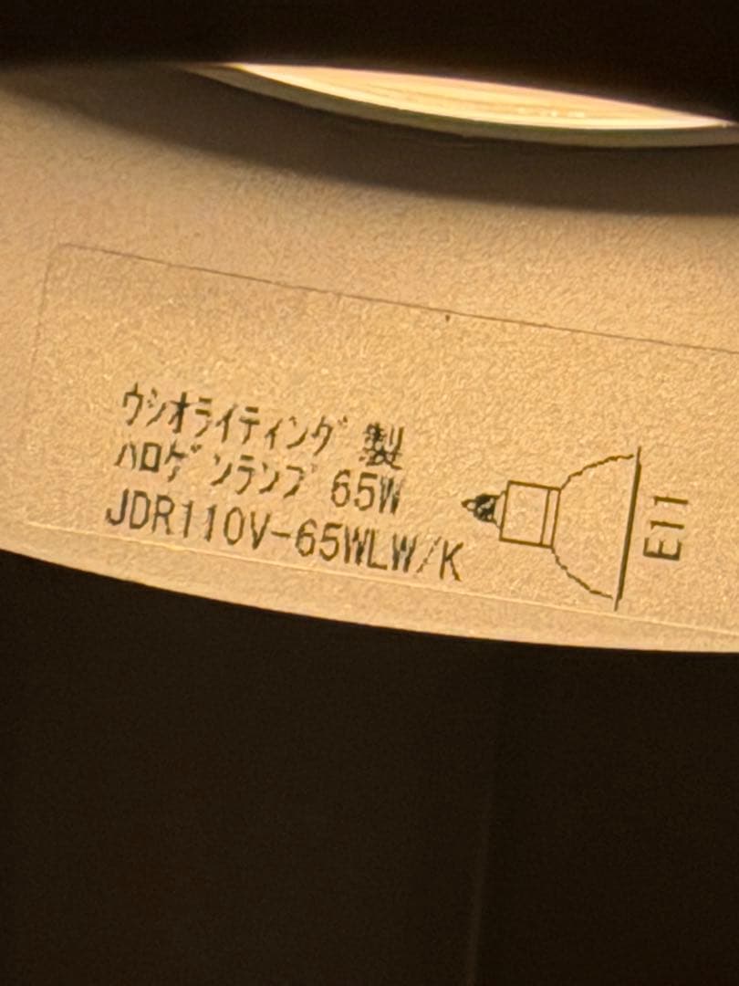 【ルイスポールセン】　内山章一　エニグマ　ペンダントライト　正規品