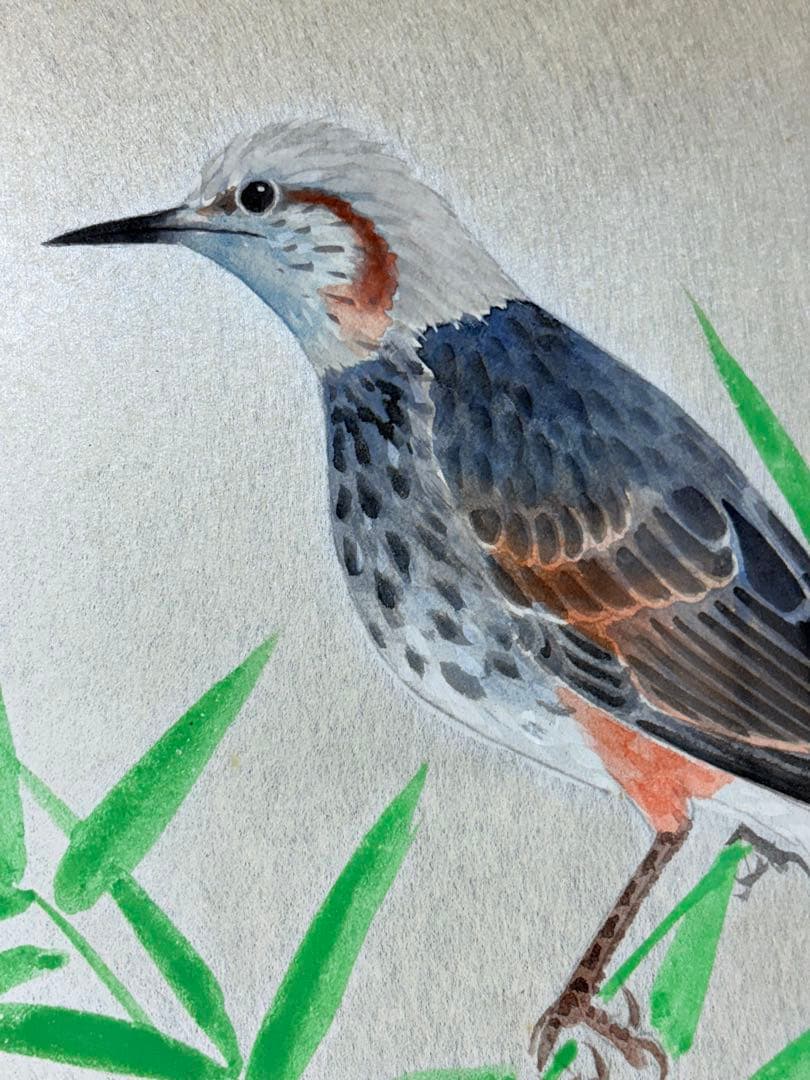 「鳥」　野々内保太郎　絵画　日本画 黄色袋 箱あり