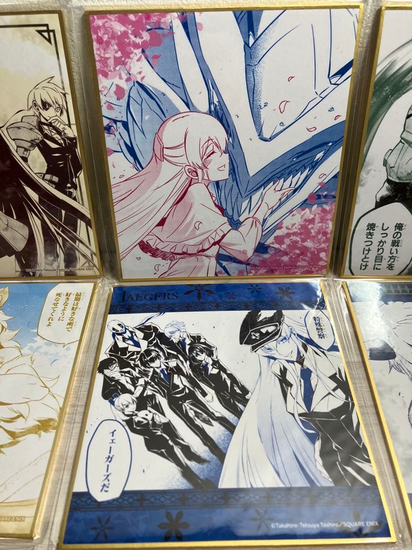 アカメが斬る！　推しちゃれ　色紙　10種セット　エスデス　アカメ