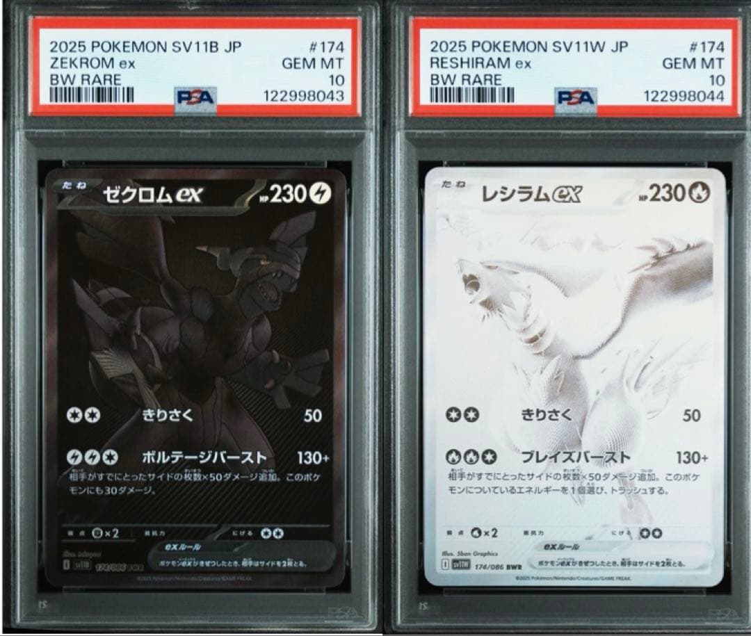 連番 ゼクロム レシラム BWR PSA10 ブラックボルト ホワイトフレア