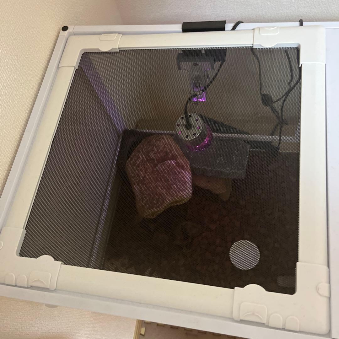 爬虫類・両生類用飼育ケージ パンテオン9045ホワイト　千葉県　発送不可