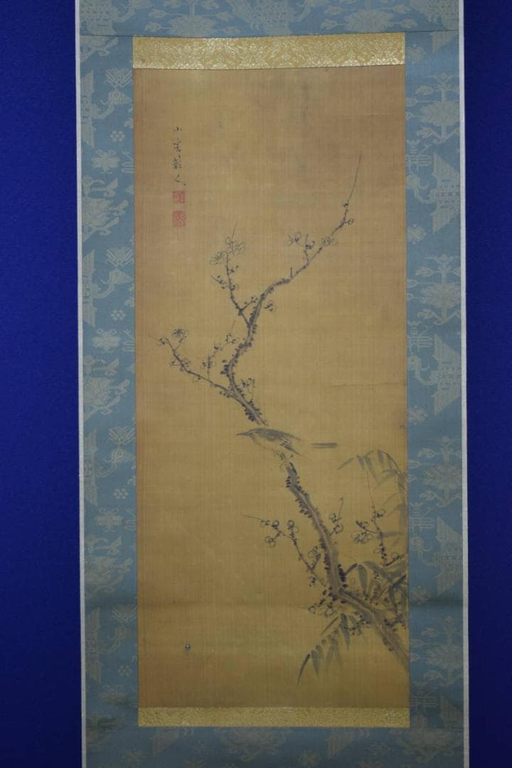 真作/田能村直入/小虎/梅に雀図/絹表装/布袋屋掛軸HG-81