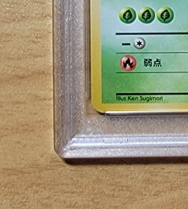 【PSA8 フシギソウ】ポケモンカード 旧裏 初版 マークなし