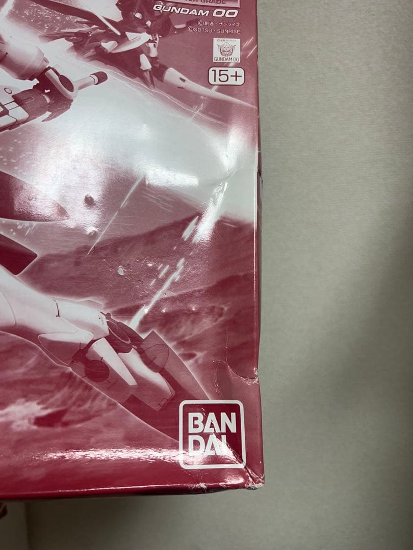 MG 1/100 アドヴァンスドジンクス（デボラ機）