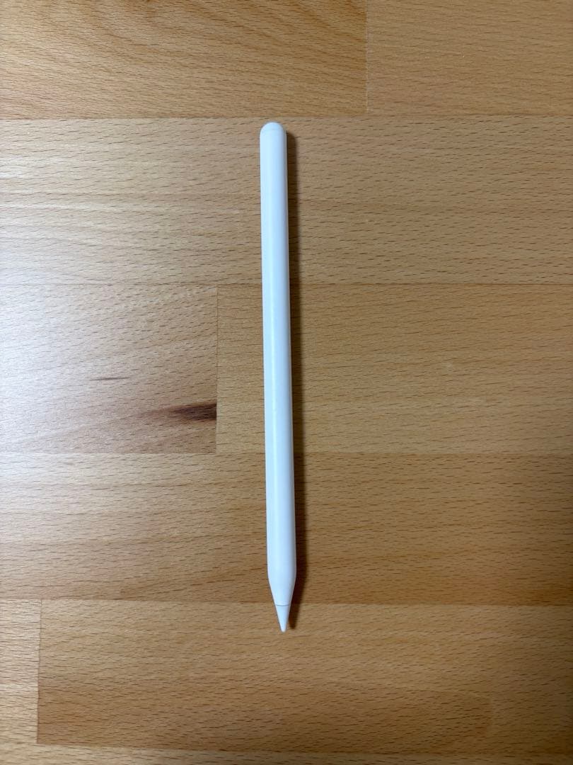 【美品】iPad Pro 11インチ 第二世代 Wi-Fi 256GB 本体＋α