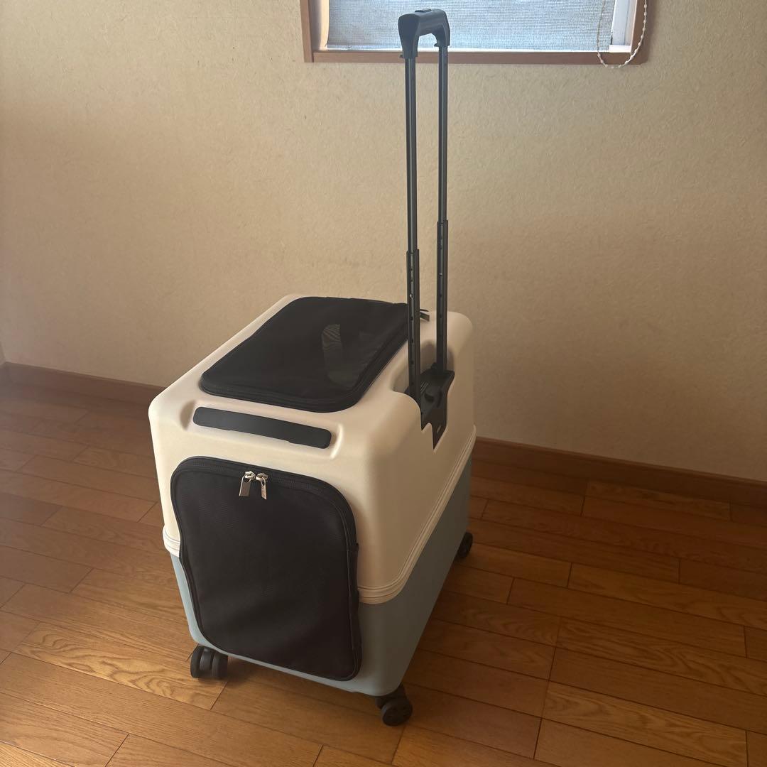 PETICO Ｌサイズ3点セット　クッション、レインカバー付き　ブルー✖️ホワイト