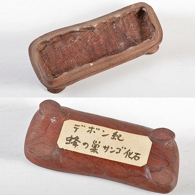 鑑賞石　天然石　ハチノスサンゴ化石　デボン紀　唐木台付　C　R5967