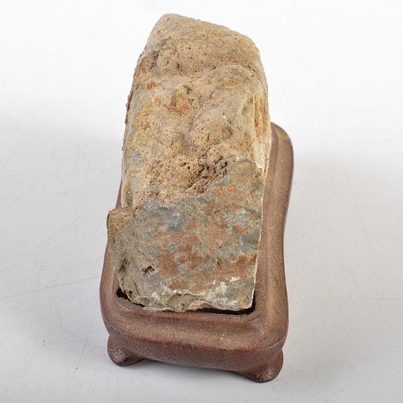 鑑賞石　天然石　ハチノスサンゴ化石　デボン紀　唐木台付　C　R5967