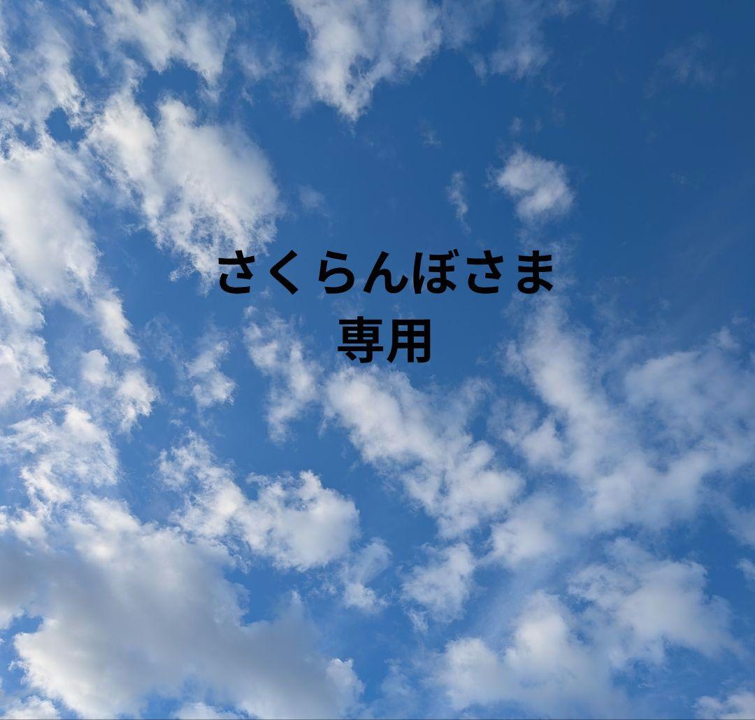 さくらんぼさま専用北の快適工房HACK TICKスティックファンデーションオーク