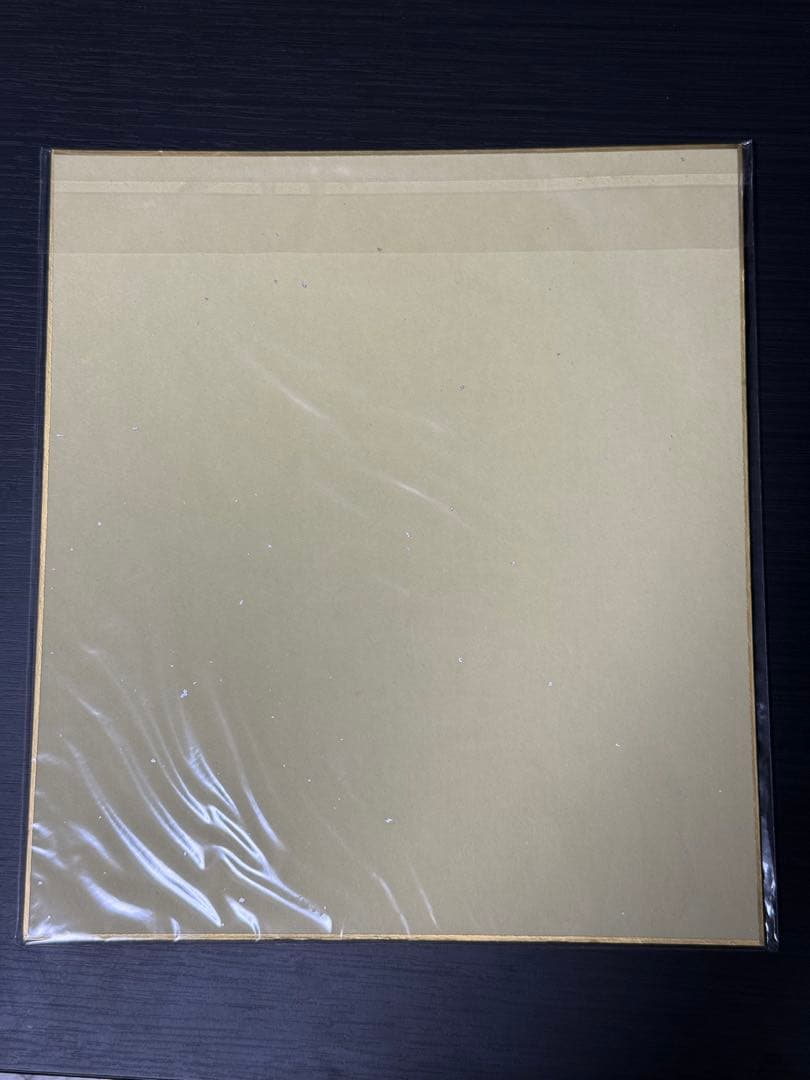 Echocalype 鬼頭明里 直筆サイン色紙