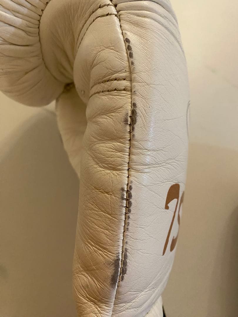 taro　Winning プロフェッショナル用14オンスグローブ