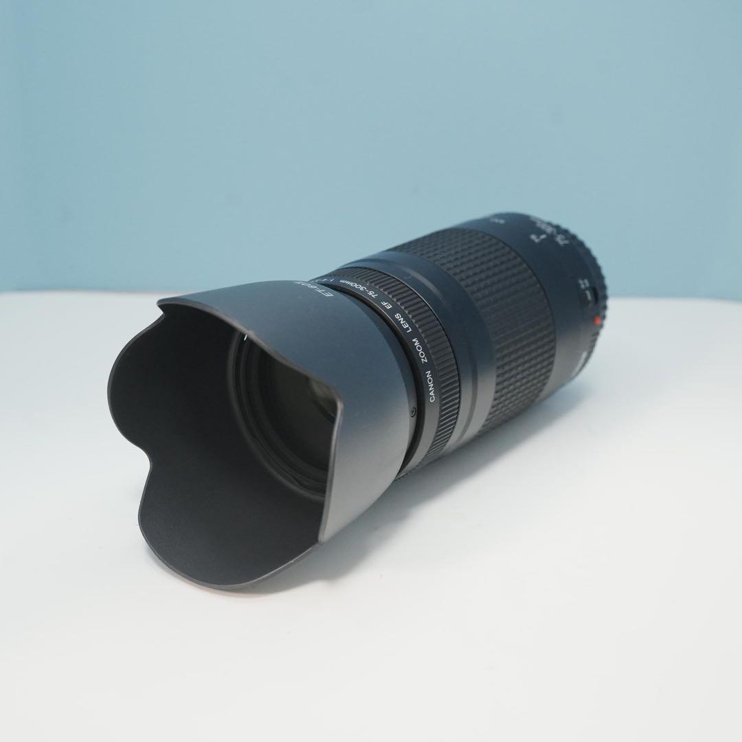 Canon純正 75-300mm 望遠レンズ 美品 a5123