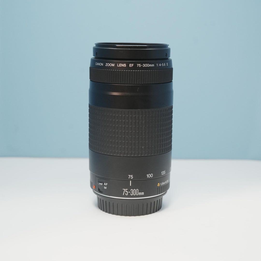 Canon純正 75-300mm 望遠レンズ 美品 a5123