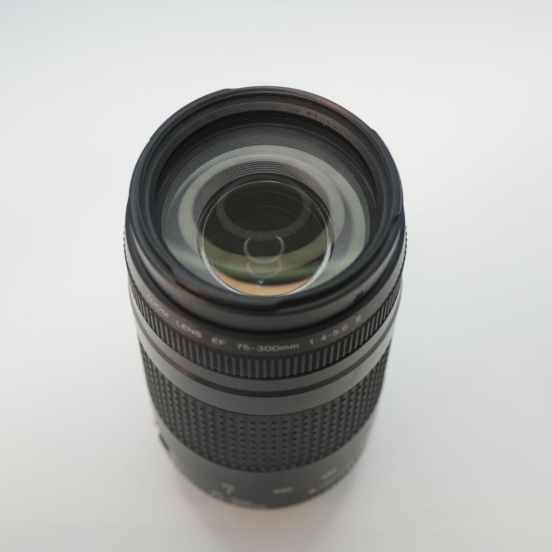 Canon純正 75-300mm 望遠レンズ 美品 a5123