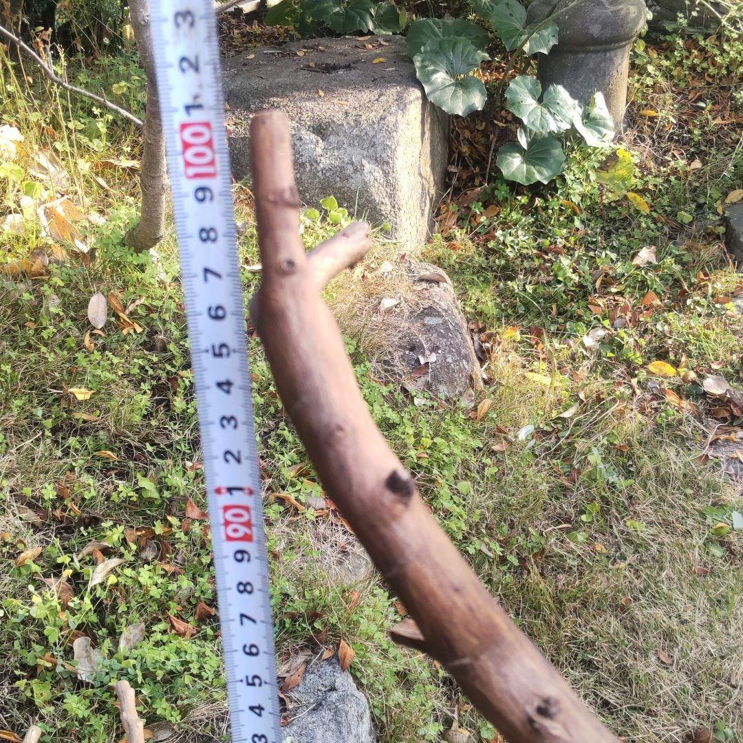 バードアスレチック　鳥用止まり木