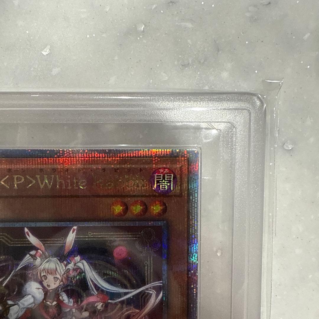 最安 ARS10+ M∀LICE＜P＞White Rabbit 25th 日版