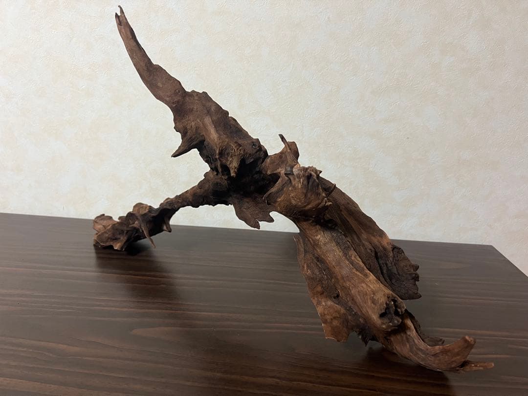 HX-057流木　マシンガンウッド　ホーンウッド アクアリウム　ブランチウッド