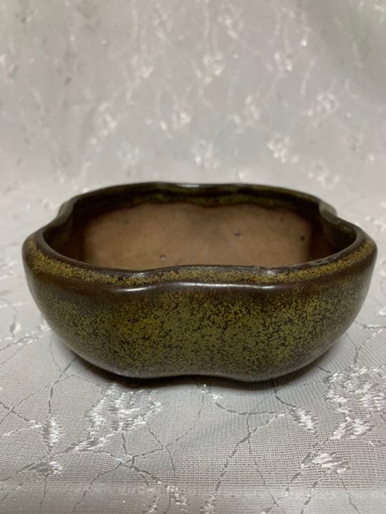 獅子丸　盆栽鉢