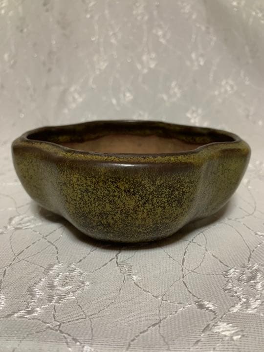 獅子丸　盆栽鉢