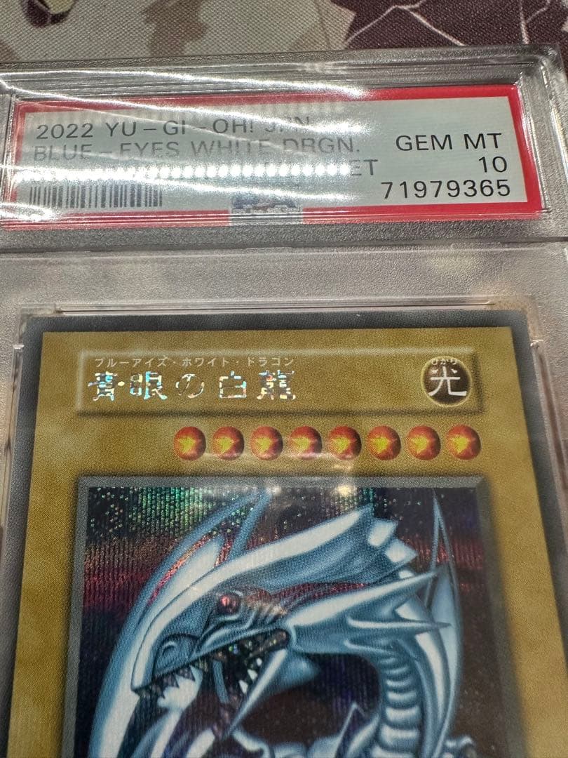 遊戯王　青眼の白龍　シークレット　海馬セット　3枚　連番　PSA10