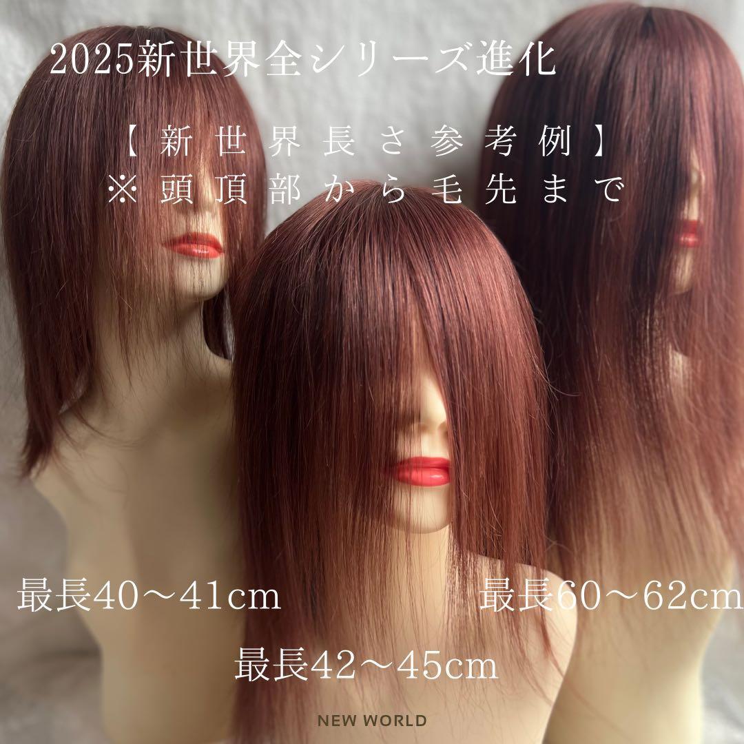 2025新世界ウィッグ高級人毛100% レミー人毛【総手植え】 S Sサイズ