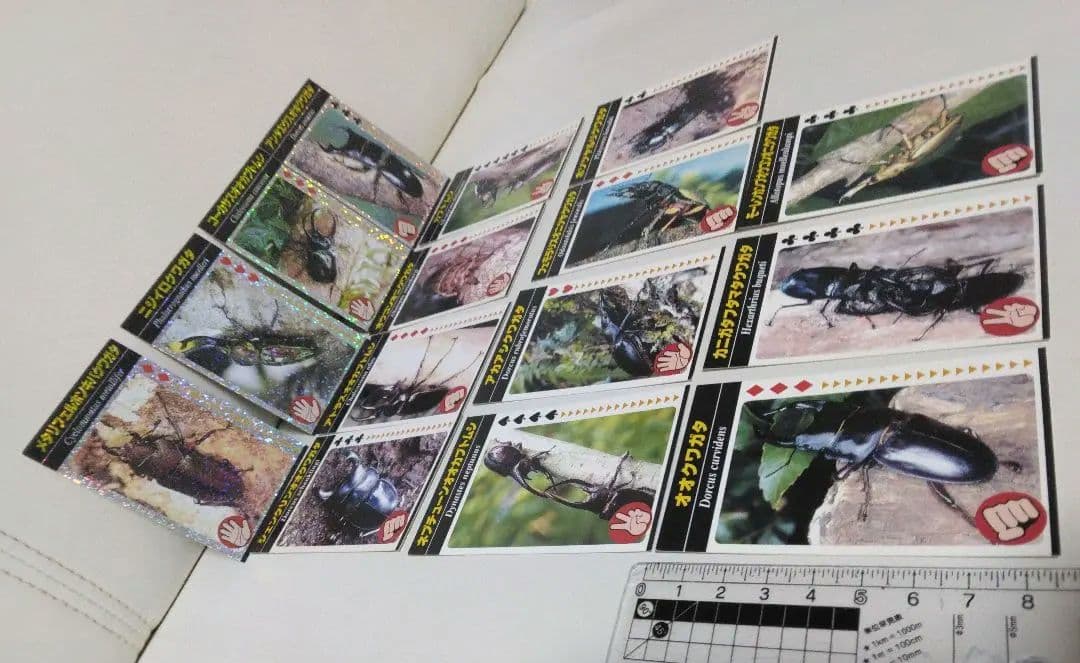 昆虫トレーディングカード 15枚セット