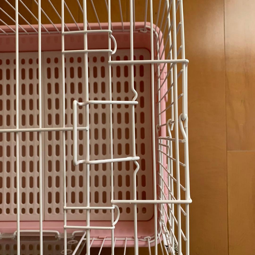 マルカン ゲージ うさぎ ピンク