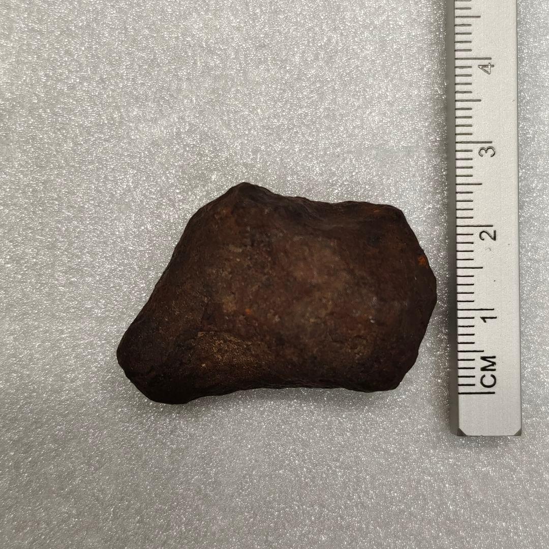 【美品】マンドラビラ隕石 61g NO.392