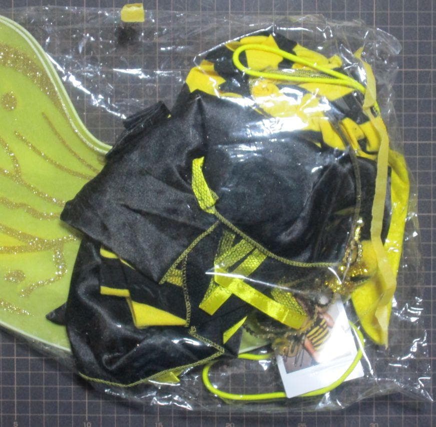 超レア【DMM】元RQ佐野真彩 直筆サイン入り写真＆撮影衣装hb