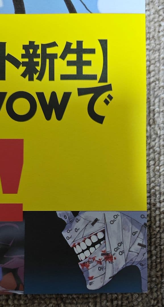 激レア エヴァンゲリオン WOWOW 非売品 ポスター・チラシ冊子