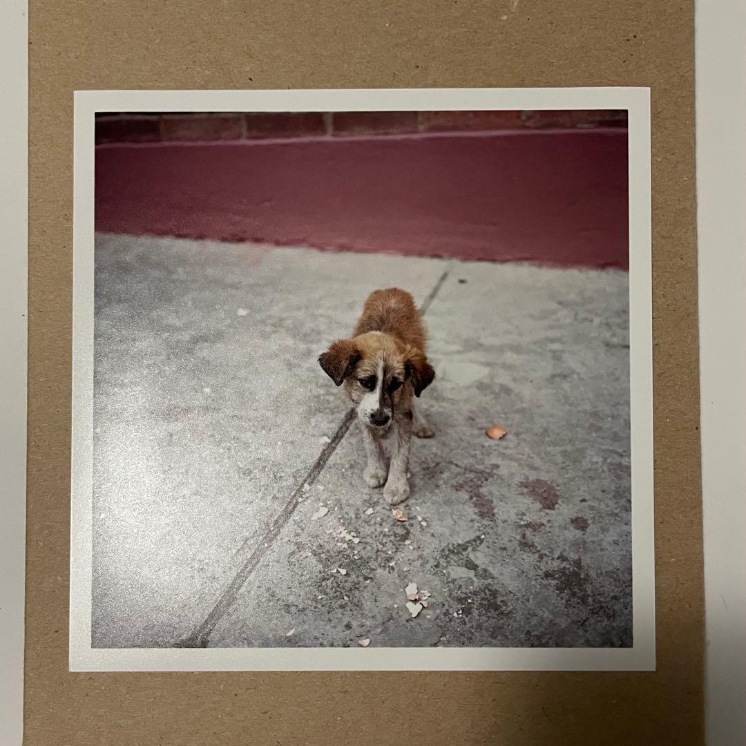 アレック・ソス プリント 直筆サイン入り