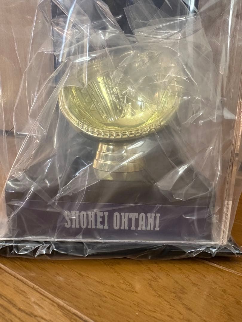 大谷翔平 2021 MLB初の二刀流オールスター記念 ボールディスプレイケース