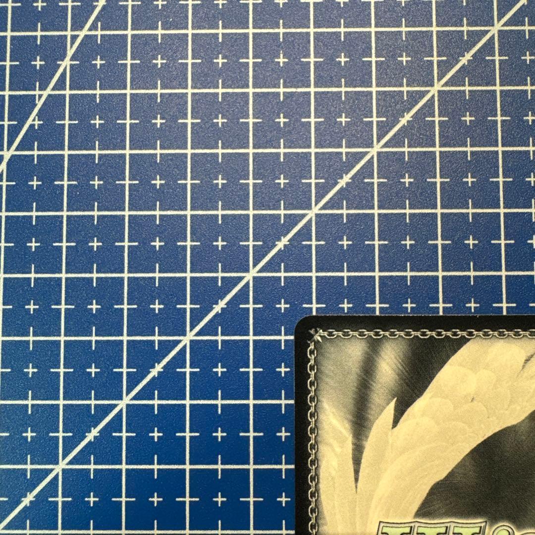 ヴァイス　居てもいい居場所　ふゆほたる　SP　370