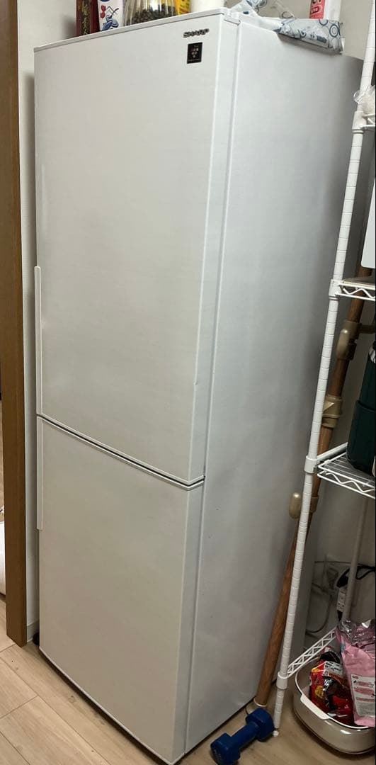 SHARP 冷蔵庫 ホワイト イオンプラズマクラスター