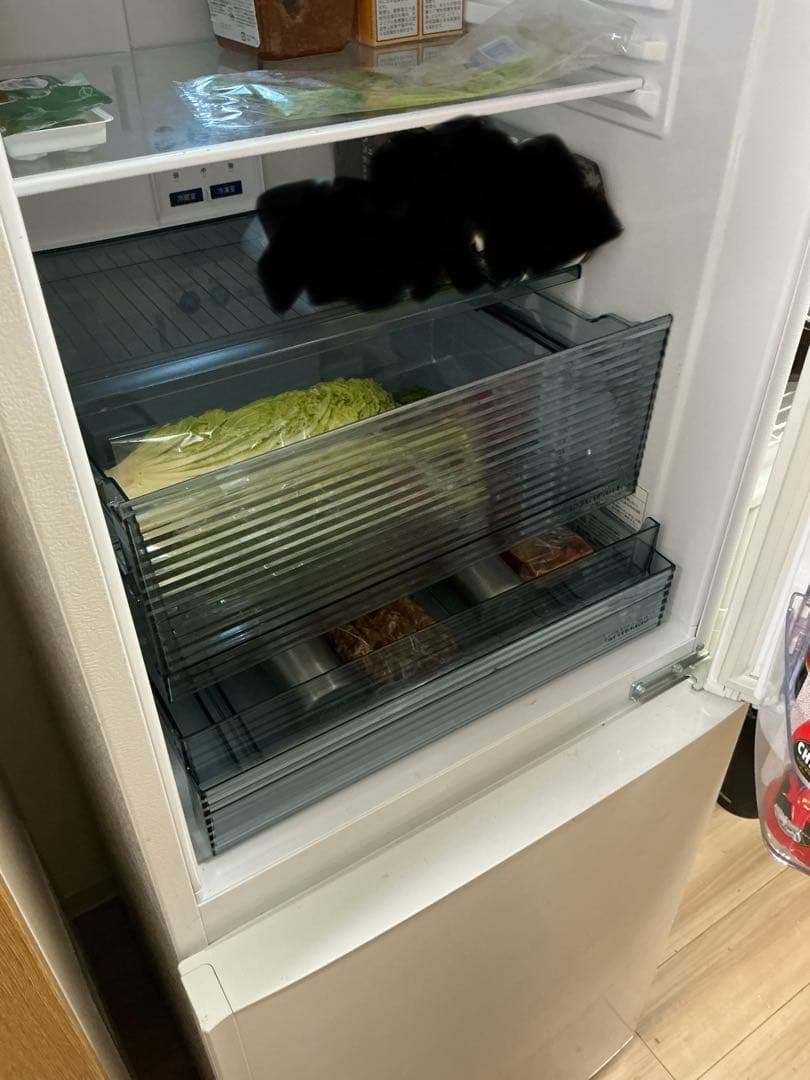 SHARP 冷蔵庫 ホワイト イオンプラズマクラスター