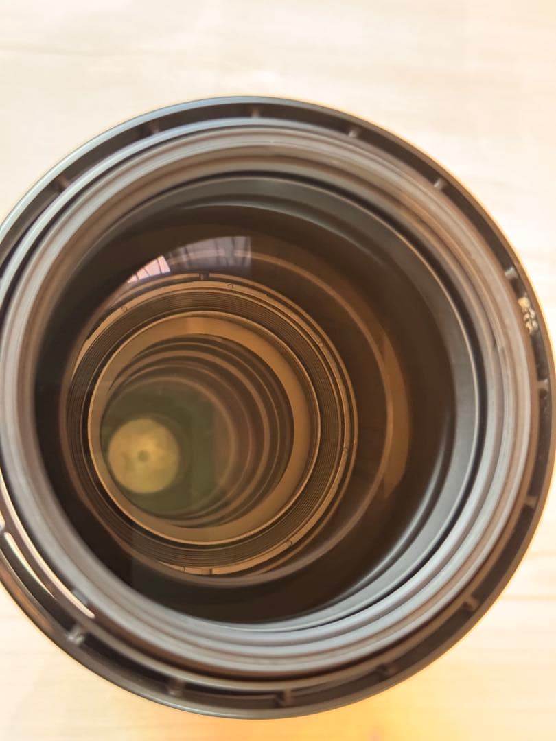 シグマ150-600mm F5-6.3 CONTEMPORARY Nikon