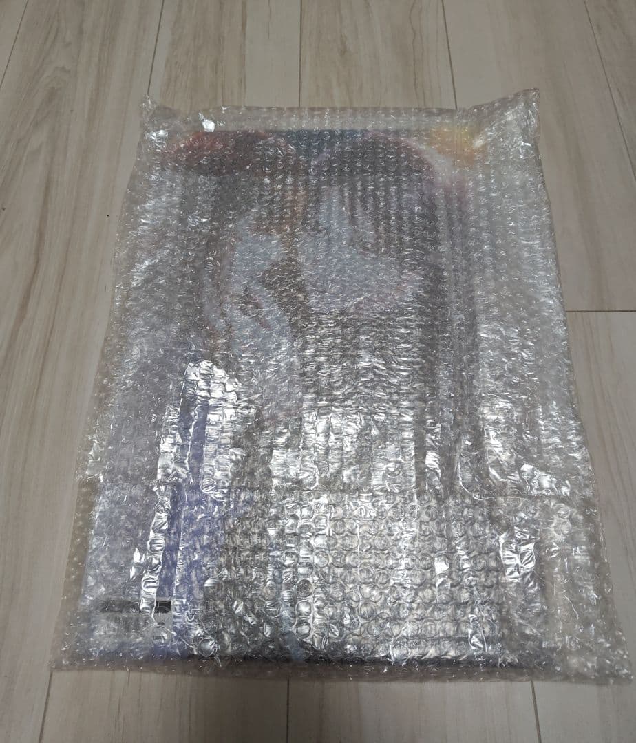 鏡の中のプリンセス　サシャ・フローレス