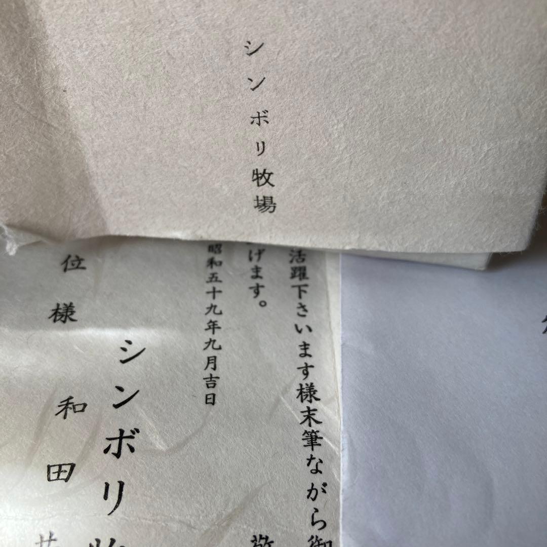 シンボリルドルフ　ダービー優勝記念純金メダル