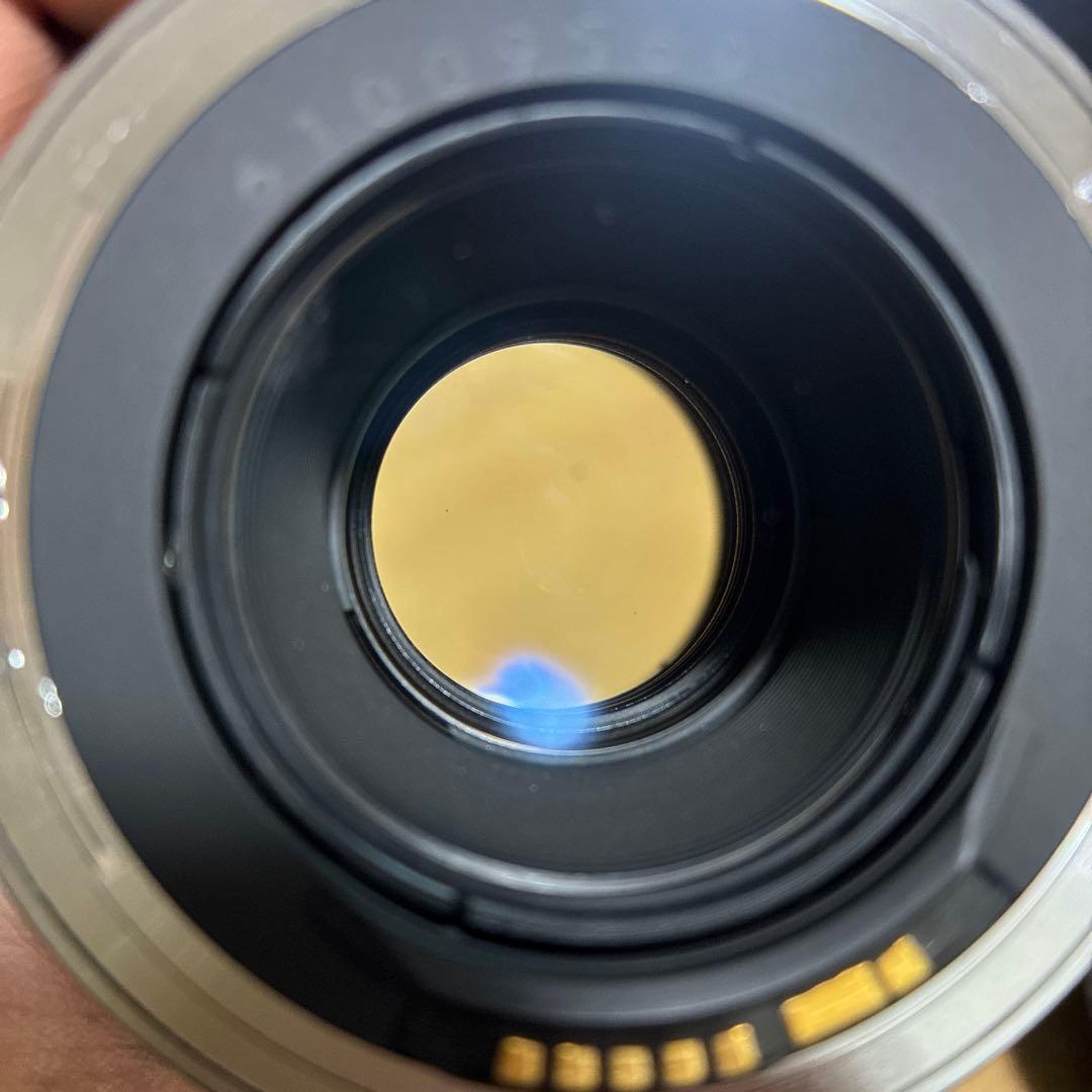 Canon EFレンズ マクロレンズ EF100mm F2.8 マクロ