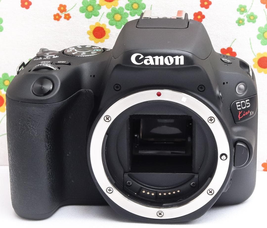 Canon EOS Kiss X9 ☆背景ふんわり！☆軽量ボディ☆スマホに転送