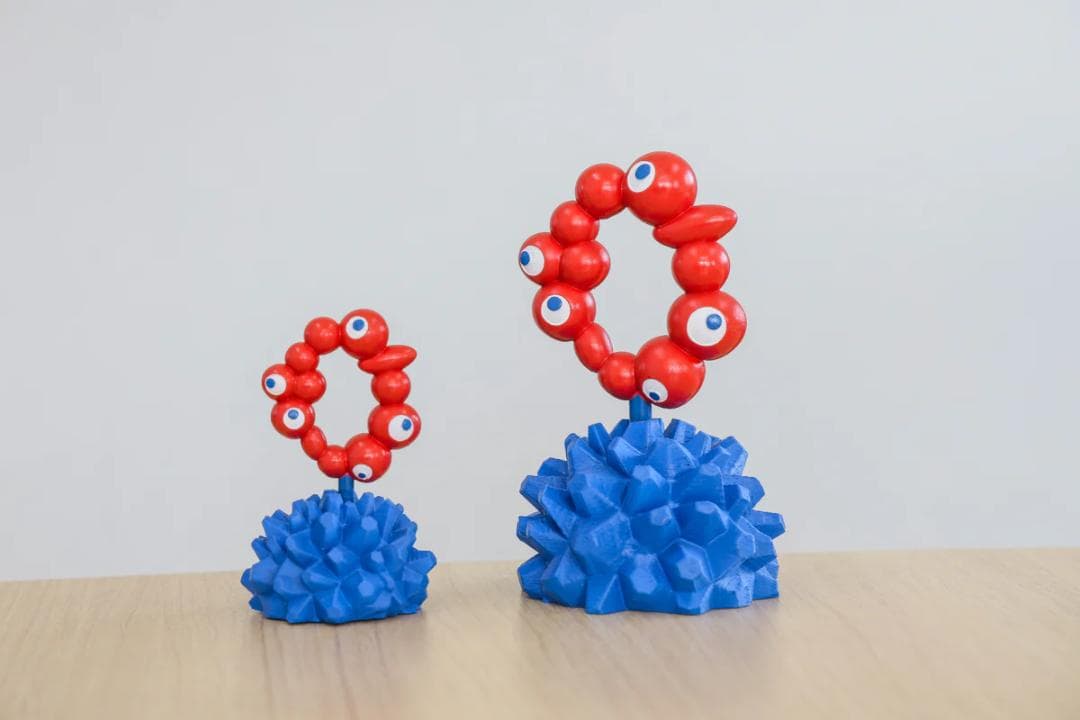 コンプ LOBINDON ロビンドン ミャクミャク グラキリス 亀甲竜 塊根