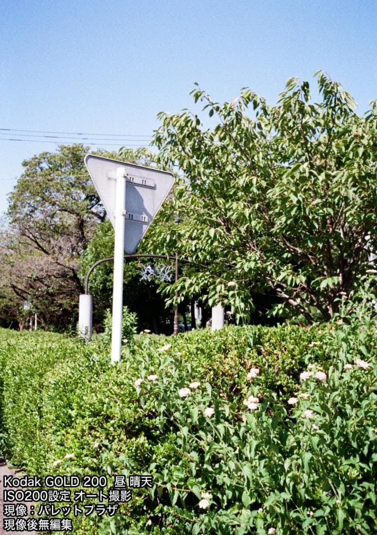 OLYMPUS PEN EE-3 グリーン【整備済完動品】