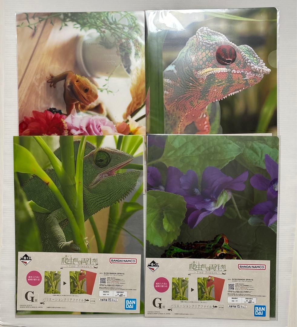 一番くじ　爬虫類＆両生類　フィギュア