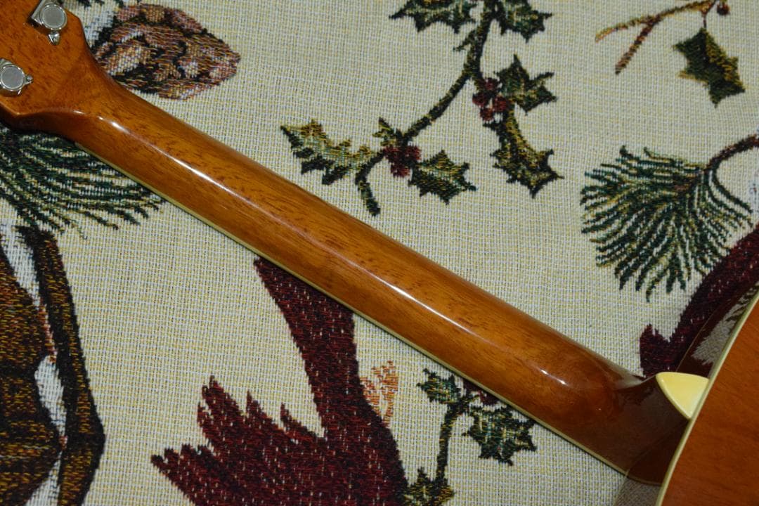 Ibanez PF200NT アコースティックギター ケース付