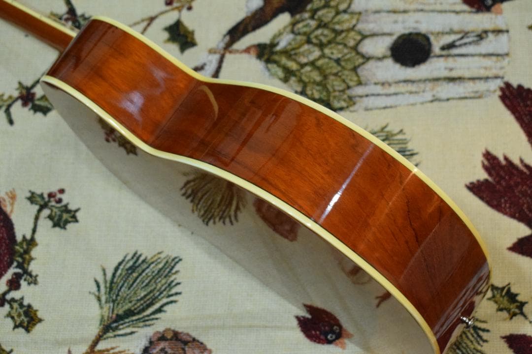 Ibanez PF200NT アコースティックギター ケース付