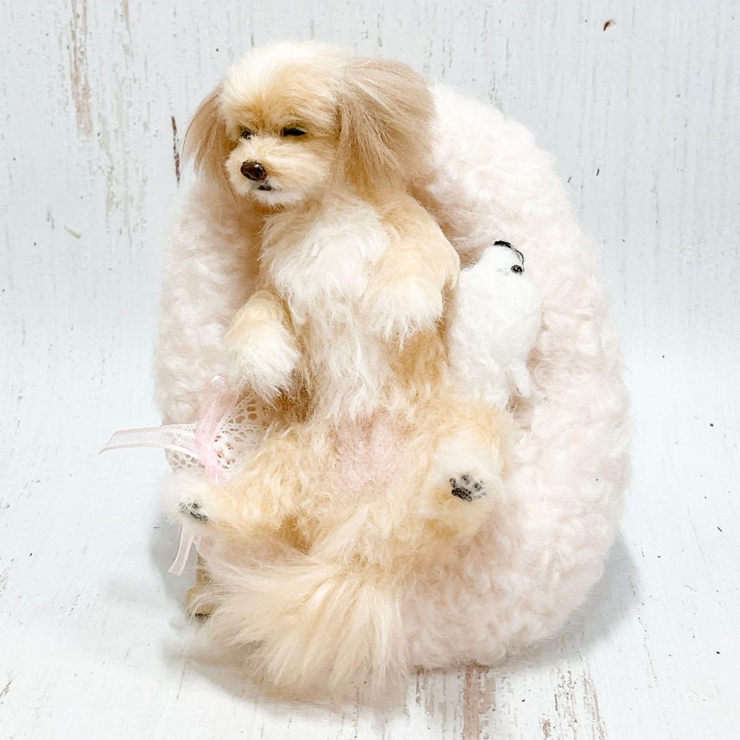 羊毛フェルト 犬 マルプー トイプードル ミックス犬