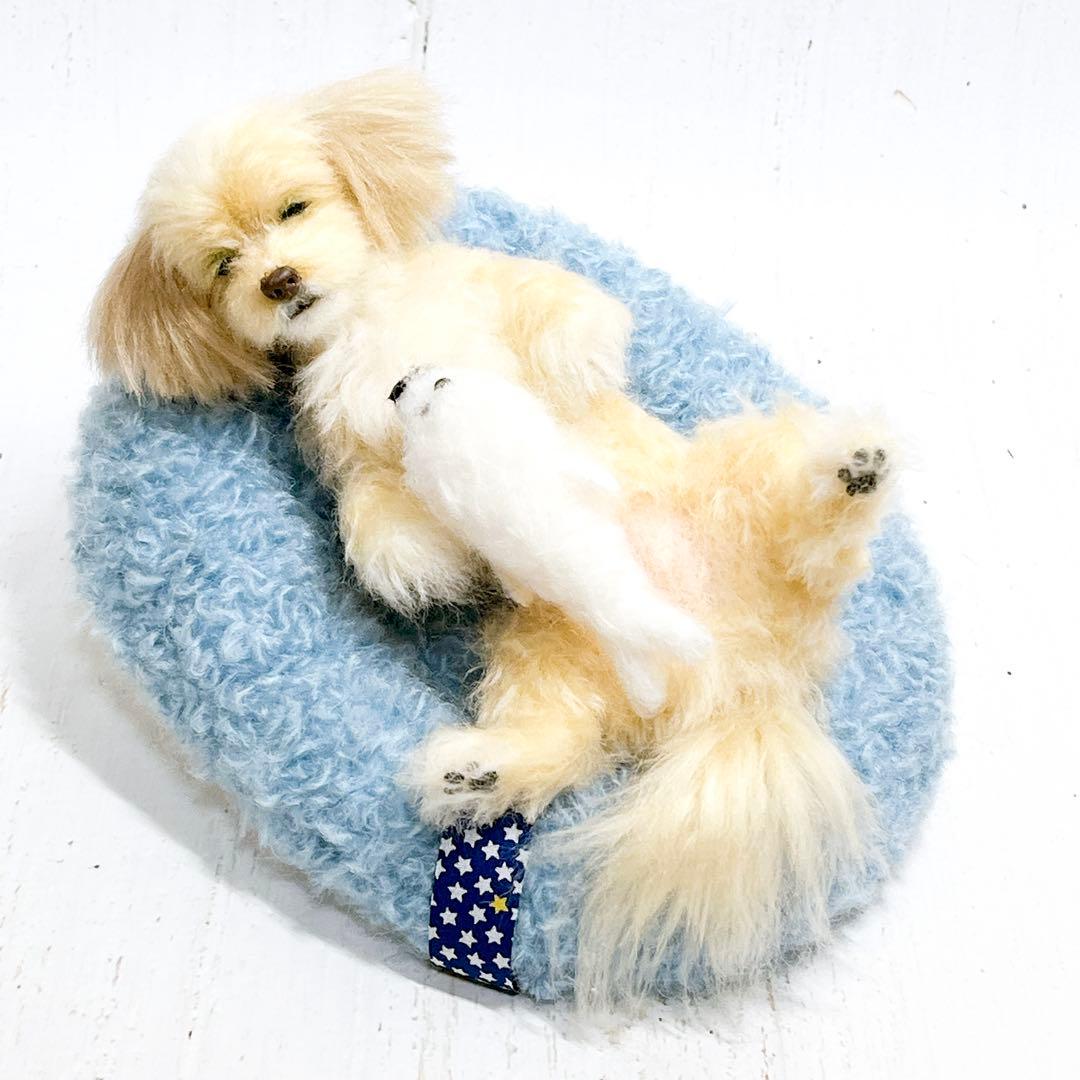 羊毛フェルト 犬 マルプー トイプードル ミックス犬