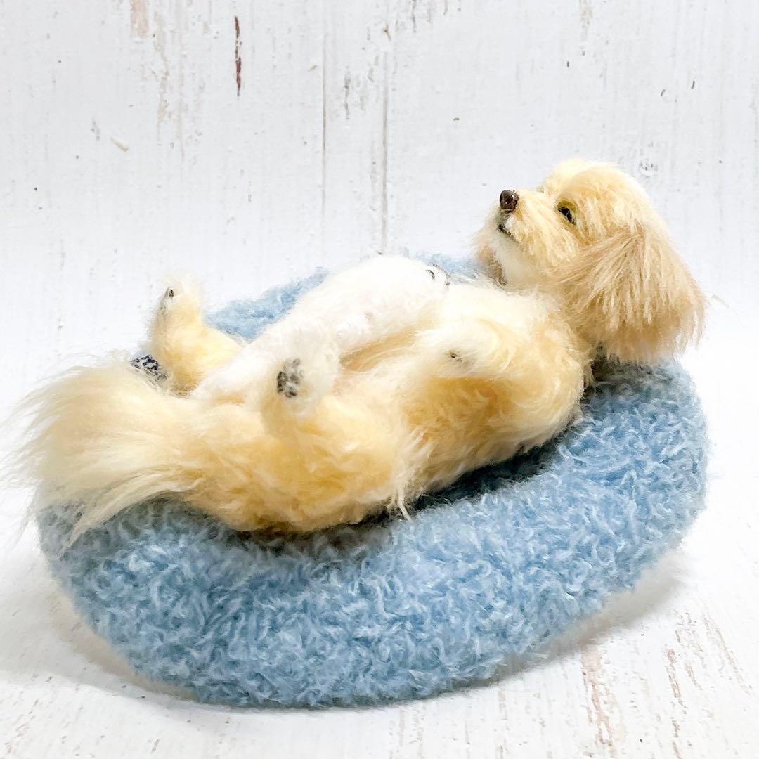 羊毛フェルト 犬 マルプー トイプードル ミックス犬