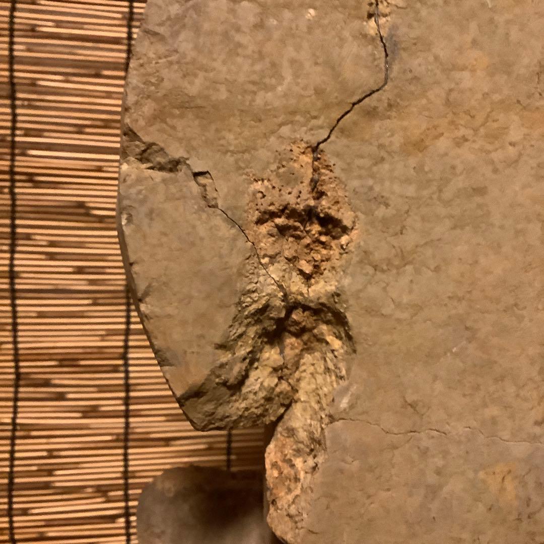 朝鮮・三国時代「静寂と慈悲の水月観音菩薩半跏像」高句麗・新羅・百済・天平・石仏