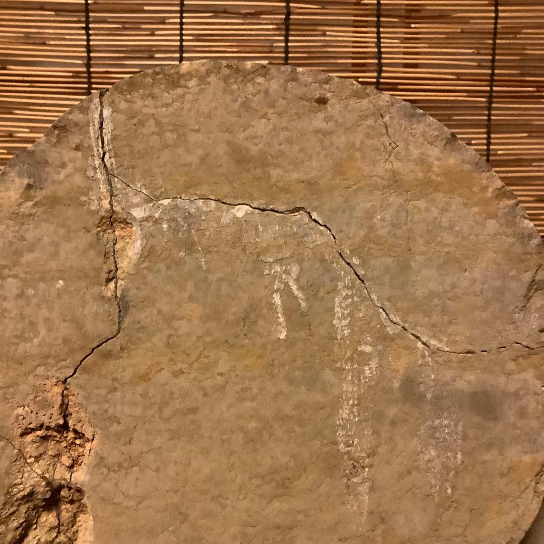 朝鮮・三国時代「静寂と慈悲の水月観音菩薩半跏像」高句麗・新羅・百済・天平・石仏